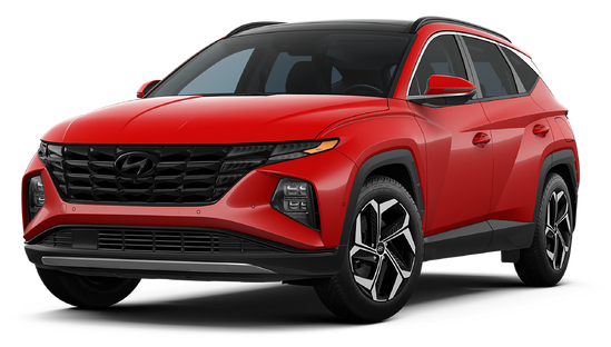 2025 Hyundai Tucson in Tallahassee